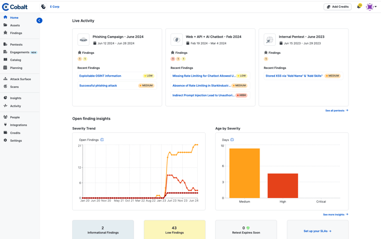 pentest-planning-ptaas-Cobalt