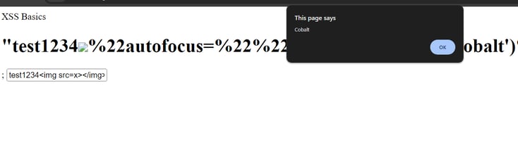 xss-basics-error-example