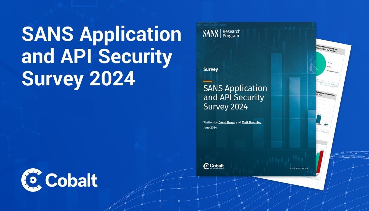 SANS Application & API Security Survey 2024 cover image